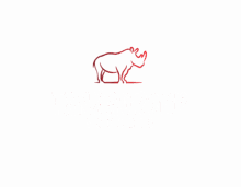 Tanzagroup Safaris